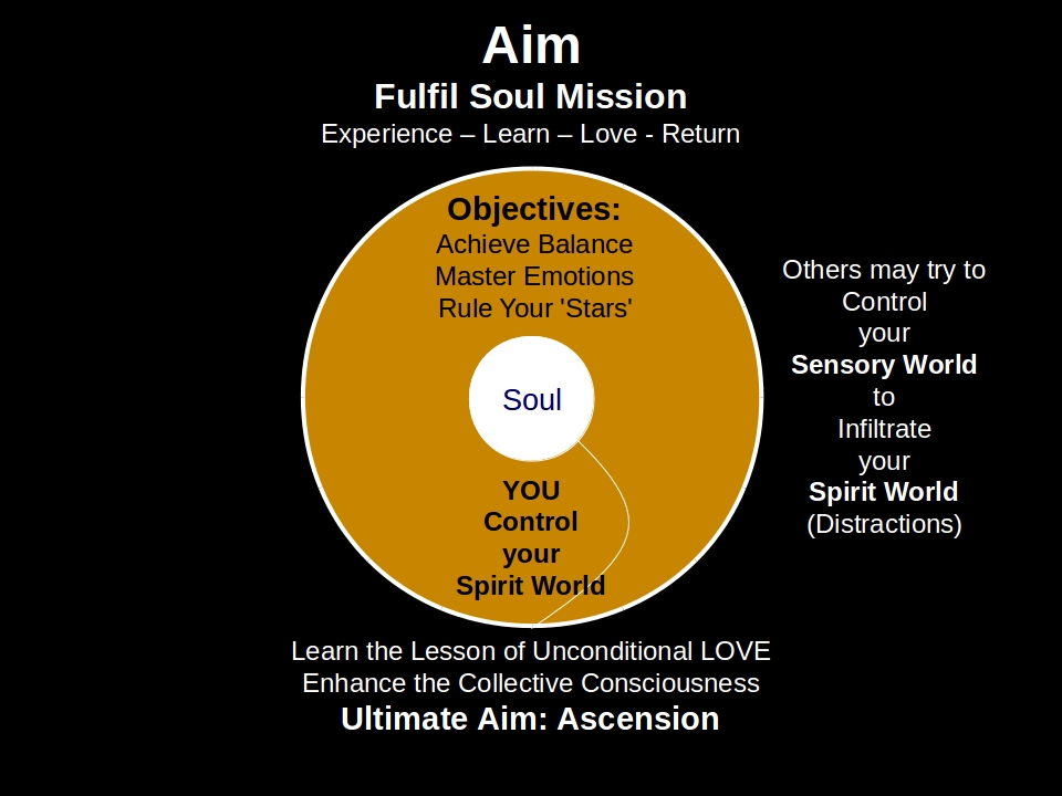 Soul Aims